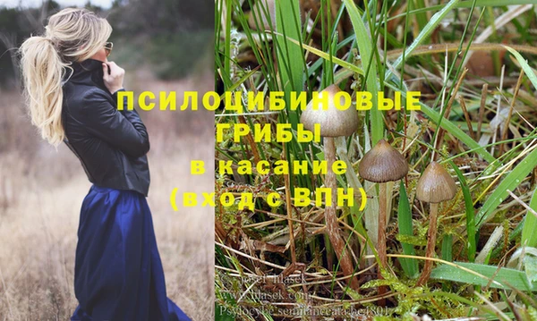 Альфа ПВП Богородицк
