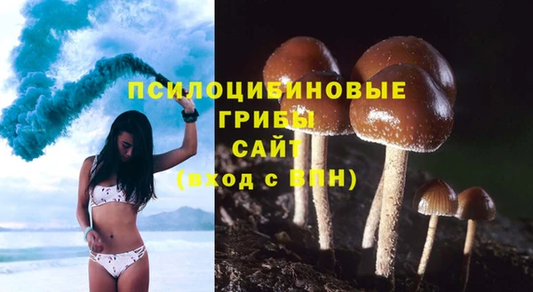Альфа ПВП Богородицк