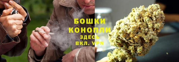 a pvp Бородино