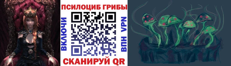 Галлюциногенные грибы MAGIC MUSHROOMS  Дубна 
